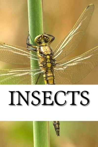 Cover for Insect · Insects (Paperback Book) (2017)