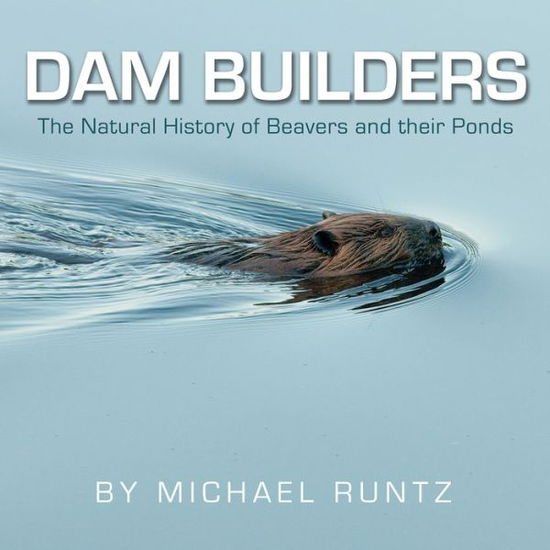 Cover for Michael Runtz · Dam Builders: The Natural History of Beavers and Their Ponds (Paperback Book) (2015)