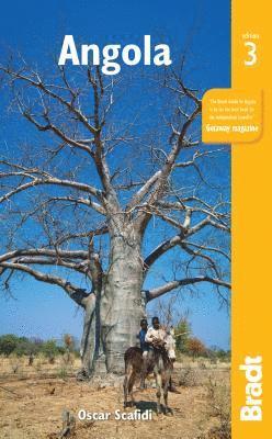 Angola - Mike Stead - Książki - Bradt Travel Guides - 9781784770242 - 9 lipca 2019