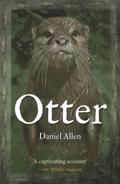 Cover for Daniel Allen · Otter (Paperback Book) [New Format edition] (2020)