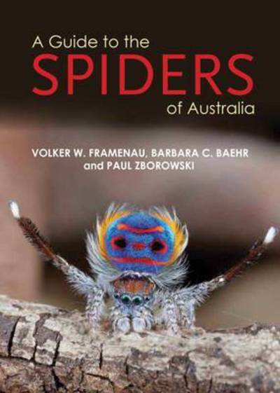 Cover for Paul Zborowski · A Guide to the Spiders of Australia (Paperback Book) (2022)