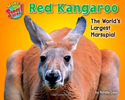 Cover for Natalie Lunis · Red Kangaroo: the World's Largest Marsupial (More Supersized!) (Inbunden Bok) (2010)