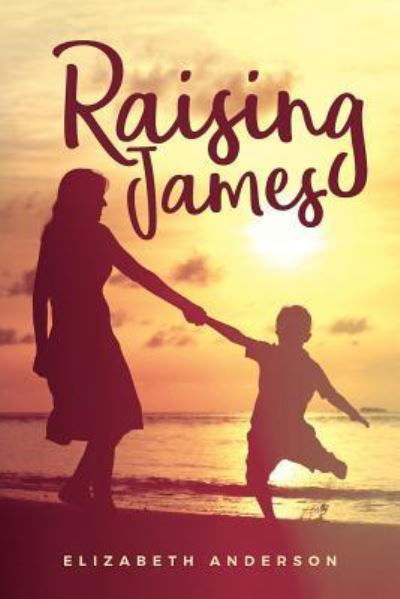 Raising James - Elizabeth Anderson - Bøger - Createspace Independent Publishing Platf - 9781977792242 - 27. november 2017
