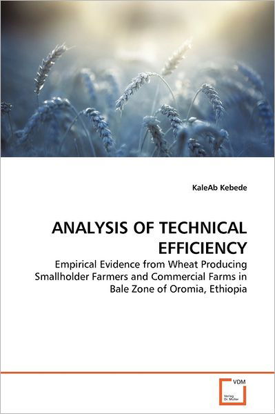 Cover for Kebede · Analysis of Technical Efficiency (Bok)