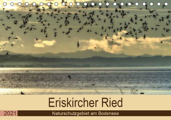 Eriskircher Ried - Naturschutzg - Brinker - Books -  - 9783672077242 - 