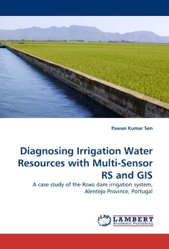 Cover for Pawan Kumar Sen · Diagnosing Irrigation Water Resources with Multi-sensor Rs and Gis: a Case Study of the Roxo Dam Irrigation System, Alentejo Province, Portugal (Paperback Bog) (2010)