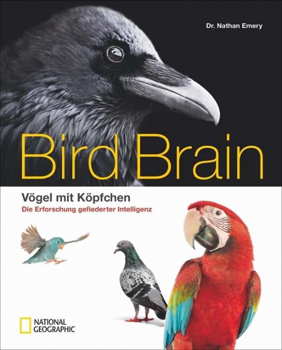Cover for Emery · Bird Brain (Bog)
