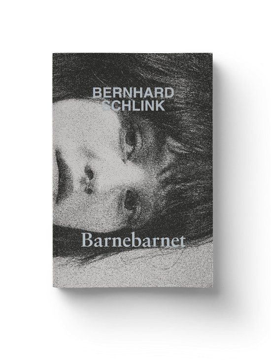 Cover for Bernhard Schlink · Barnebarnet (Hardcover Book) [1th edição] (2024)