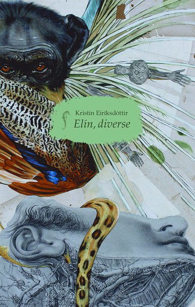 Cover for Kristín Eiríksdóttir · Elin, diverse (Paperback Book) (2020)