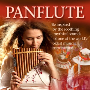 Panflute - V/A - Musiikki - ZYX - 0090204639243 - torstai 19. lokakuuta 2017