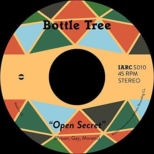 Cover for Bottle Tree · Open Secret (LP) (2019)