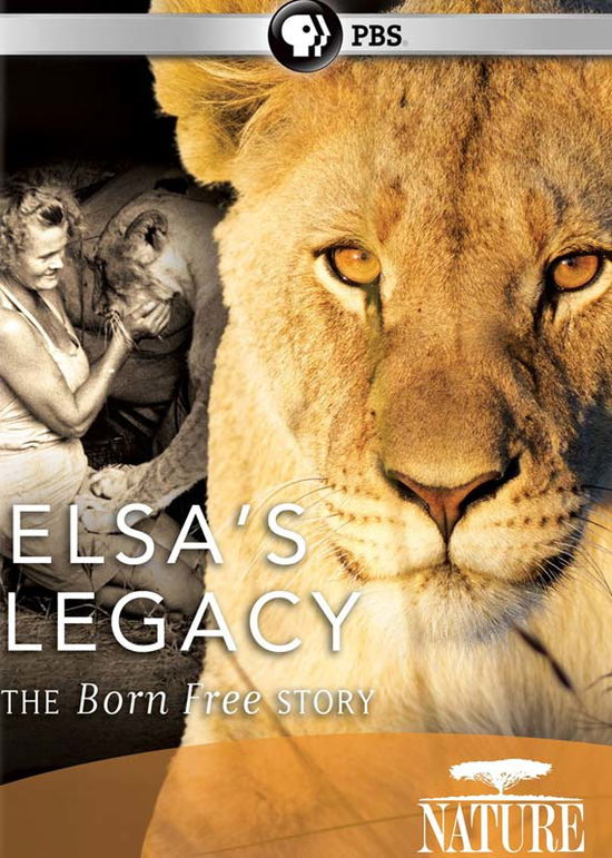 Cover for Nature: Elsa's Legacy: the Born Free Story (DVD) (2011)