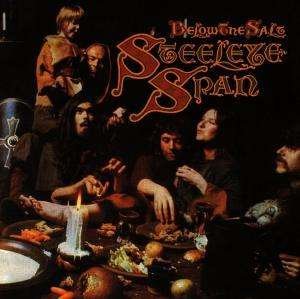 Cover for Steeleye Span · Below the Salt (CD) (1996)
