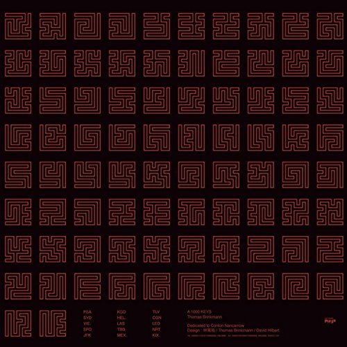 Cover for Thomas Brinkmann · A 1000 Keys (LP) (2016)