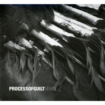 Cover for Process Of Guilt · Faemin (CD) (2012)