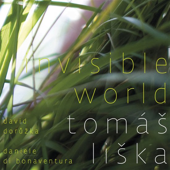 Cover for Doruzka / Liska,tomas · Invisible World (CD) (2009)