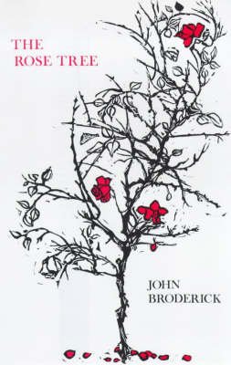 The Rose Tree - John Broderick - Kirjat - Marion Boyars Publishers Ltd - 9780714528243 - 1985
