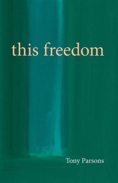 Cover for Tony Parsons · This Freedom (Paperback Book) (2020)