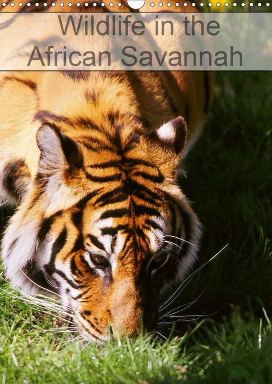 Cover for Leroy · Wildlife in the African Savannah (Buch)