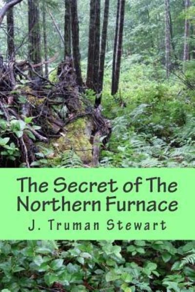Cover for J Truman Stewart · The Secret of The Northern Furnace (Taschenbuch) (2015)