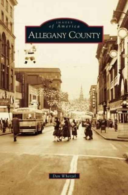 Cover for Dan Whetzel · Allegany County (Hardcover Book) (2011)