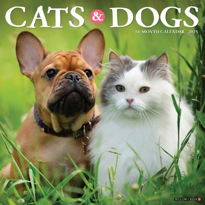 Cats & Dogs 2025 12 X 12 Wall Calendar - Willow Creek Press - Gadżety - Willow Creek Press Calendars - 9781549242243 - 10 września 2024