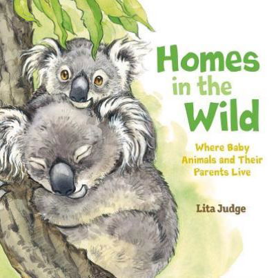 Cover for Lita Judge · Homes in the Wild: Where Baby Animals and Their Parents Live - In the Wild (Hardcover bog) (2019)
