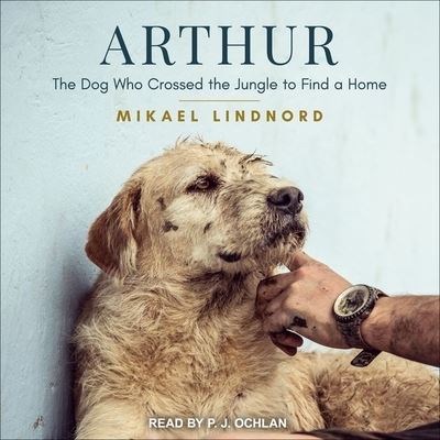 Cover for Mikael Lindnord · Arthur (CD) (2017)