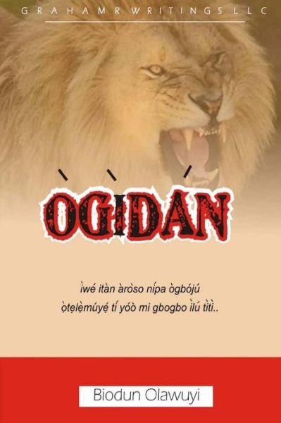 Cover for Biodun Olawuyi · Ogidan (Taschenbuch) (2018)