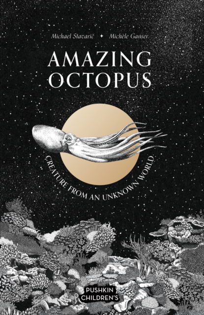 Cover for Michael Stavaric · Amazing Octopus: Creature From an Unknown World - Amazing Ocean (Hardcover Book) (2023)