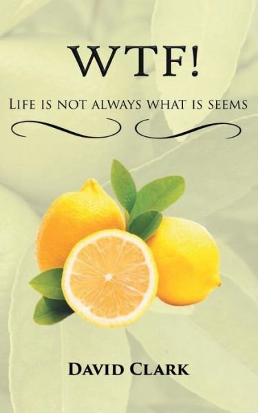 Cover for David Clark · WTF! Life is Not Always What it Seems (Paperback Book) (2015)