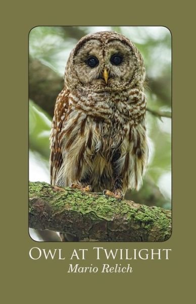 Cover for Mario Relich · Owl at Twilight (Paperback Book) (2021)