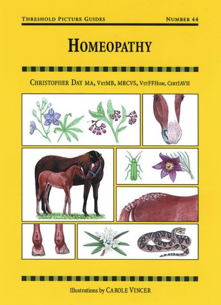 Cover for Christopher Day · Homeopathy - Threshold Picture Guide (Paperback Book) (2000)