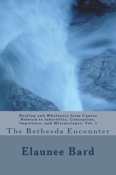 Cover for Elaunee Bard · The Bethesda Encounter (Paperback Book) (2018)