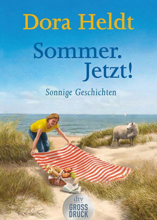 Cover for Dora Heldt · Dtv Tb.25424 Heldt:sommer. Jetzt! (Book)