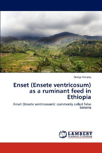 Cover for Dereje Fekadu · Enset (Ensete Ventricosum) As a Ruminant Feed in Ethiopia: Enset (Ensete Ventricosum): Commonly Called False Banana (Paperback Bog) (2012)
