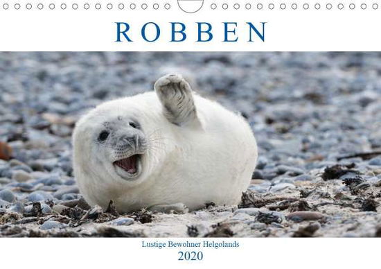 Robben - Lustige Bewohner Helgolan - Orth - Książki -  - 9783671035243 - 