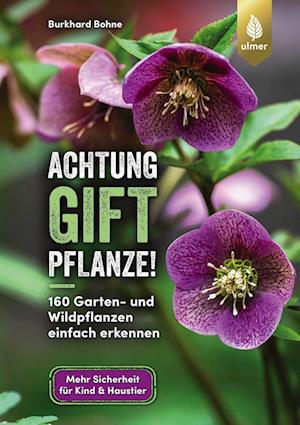 Achtung, Giftpflanze! - Burkhard Bohne - Książki - Verlag Eugen Ulmer - 9783818616243 - 22 września 2022