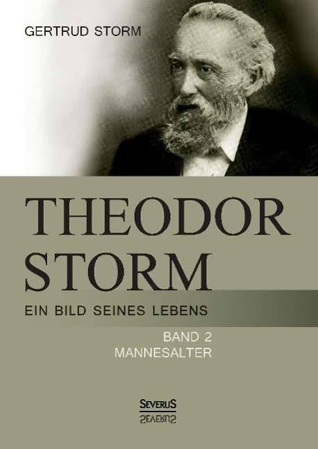 Cover for Storm · Theodor Storm: Ein Bild s.Leb.2 (Bog)