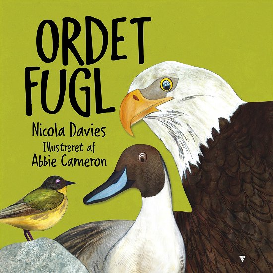 Cover for Nicola Davies · Ordet Fugl (Bound Book) [1. Painos] (2024)