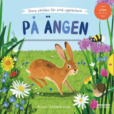 Cover for Anne-Kathrin Behl · På ängen (Book) (2023)