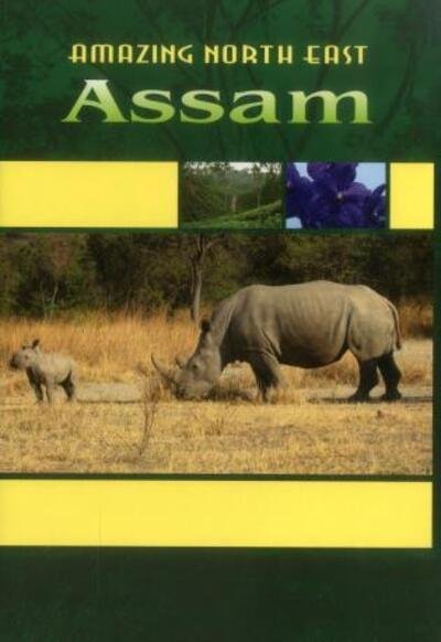 Cover for Aribam Indubala Devi · Amazing North East_ Assam (Innbunden bok) (2010)