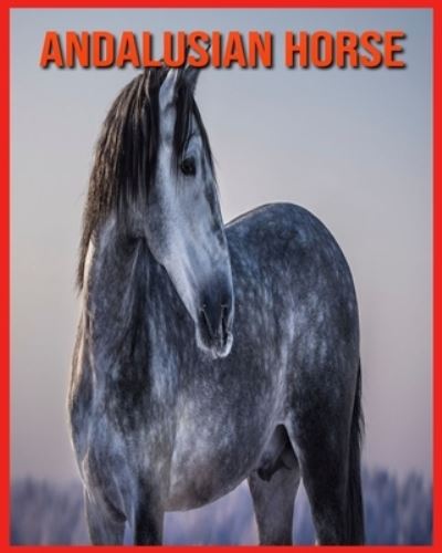 Cover for Linda Davis · Andalusian Horse (Paperback Book) (2021)