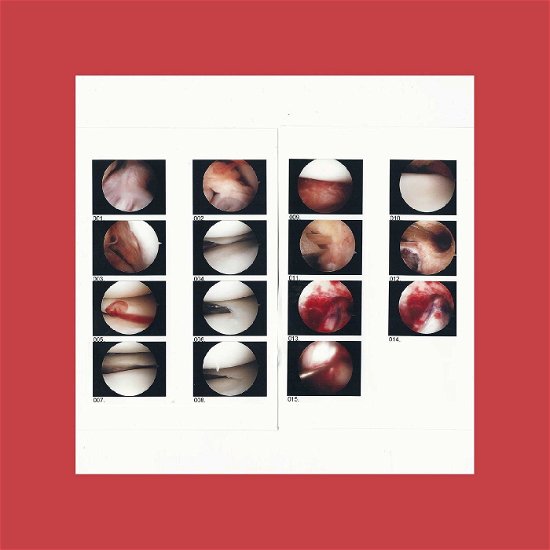 Cradle · Laughing In My Sleep (LP) (2020)