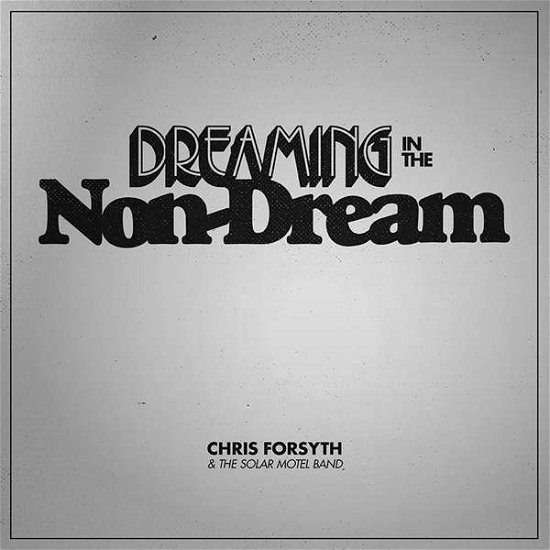 Dreaming In The Non-Dream - Chris Forsyth - Musik - NO QUARTER - 0616892499244 - 25 augusti 2017