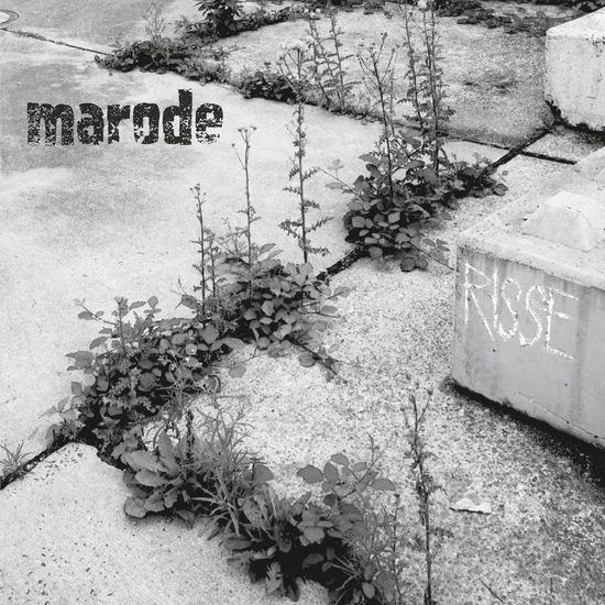 Cover for Marode · Risse (LP) (2022)