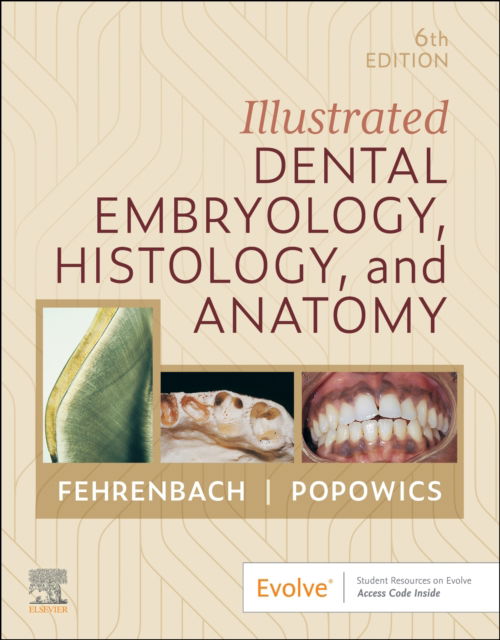 Cover for Fehrenbach, Margaret J. (Dental Hygiene Educational Consultant,Oral Biology Technical Writer,Adjunct Faculty,Seattle Central College,Seattle, Washington) · Illustrated Dental Embryology, Histology, and Anatomy (Paperback Book) (2025)