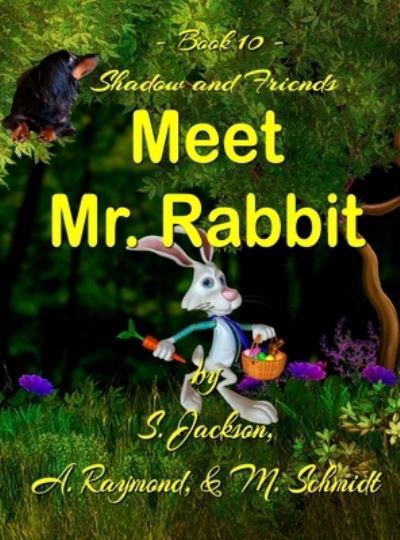 Cover for Mary L Schmidt · Shadow and Friends Meet Mr. Rabbit (Hardcover Book) (2020)