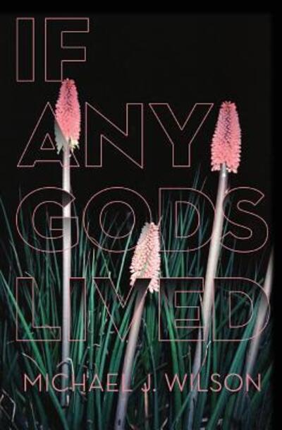 Cover for Michael J Wilson · If Any Gods Lived: Poems (Pocketbok) (2018)