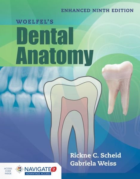 Cover for Rickne C. Scheid · Woelfel's Dental Anatomy, Enhanced Edition (Hardcover Book) [9 Revised edition] (2020)